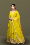 Yellow colour banaras georgette chudidar kali