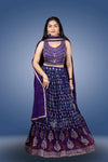 Indigo colour banaras georgette crop top