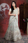 Cream Colour Net Half Saree