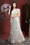 Cream Colour Net Half Saree