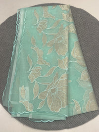 Organza Applique Saree