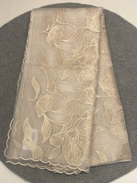 Organza Applique Saree