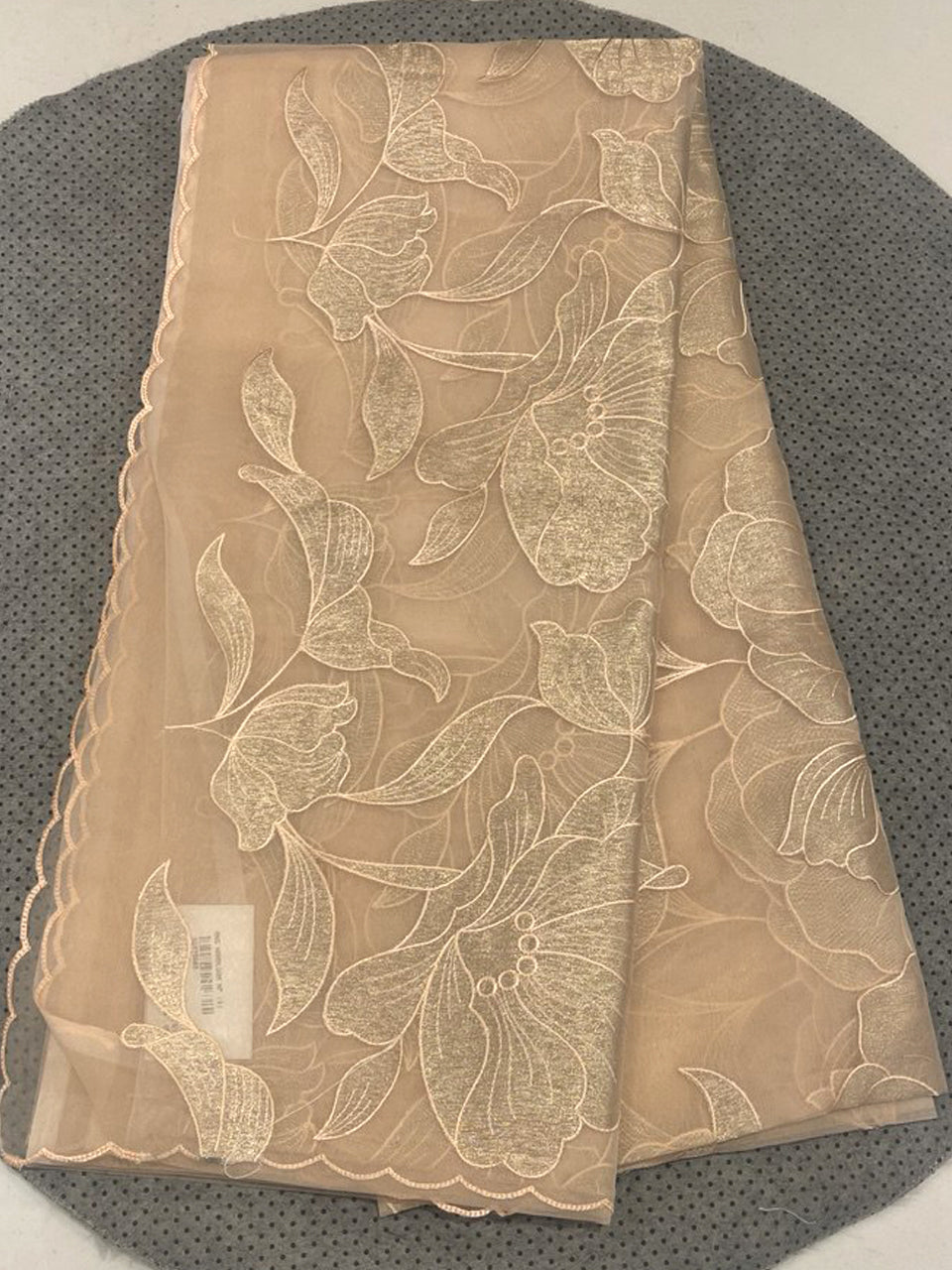 Organza Applique Saree