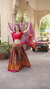 Pink colour banaras crop top