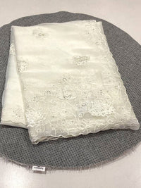 Russian Georgette Saree