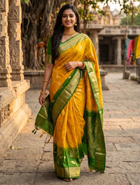 Mayuri Pattu Saree