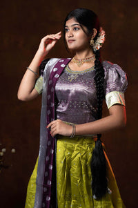 Banaras Pattu Half Saree